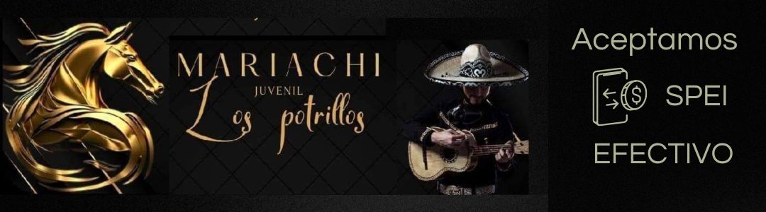 Mariachi en Tultitlán aceptamos Tarjeta de crédito