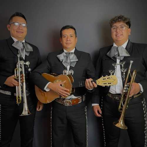 LOS MEJORES MARIACHIS DE TULTITLÁN Mariachi Potrillos de Tultitlán